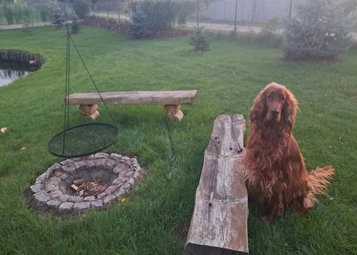 With Sauna, Jacuzzi And Private Pond Semesterbostad Lipusz